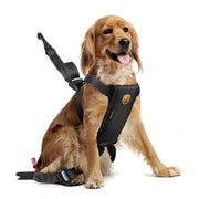 Garantía de satisfacción en Cestas Secure Pets