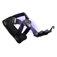 Adjustable black pet travel safety harness with secure buckle on white background