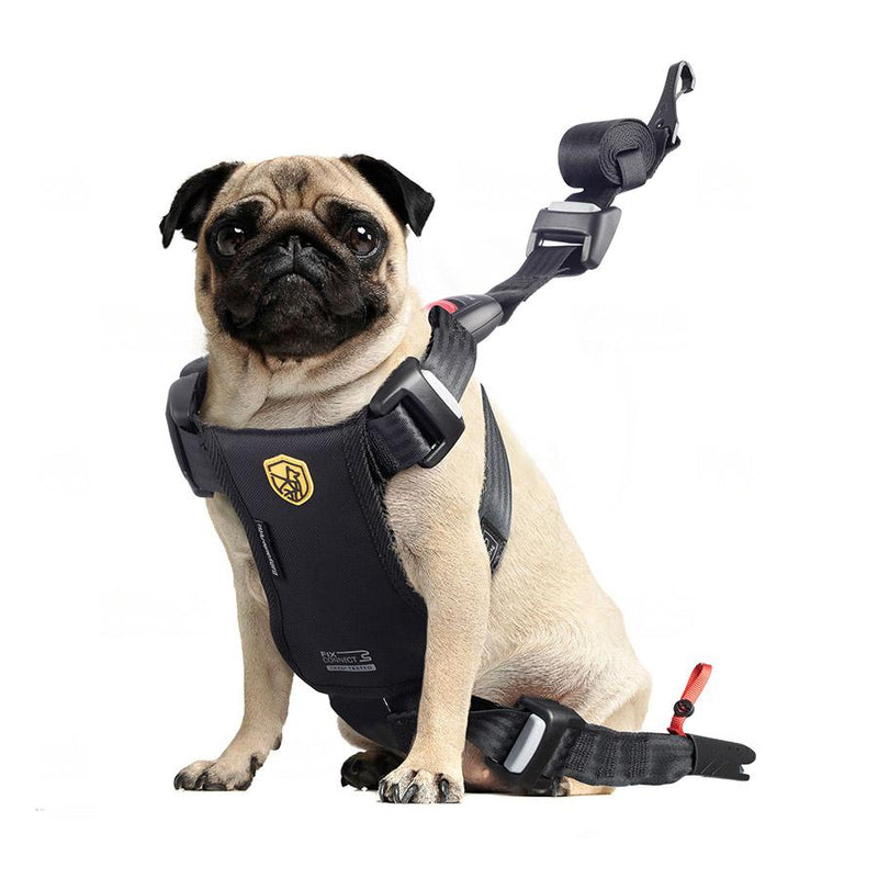 Pug wearing black pet travel safety harness with seat belt attachment for secure car transport