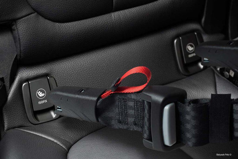 Arnés de seguridad BabyAutoPets