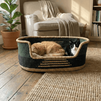 Cesta de mimbre con tonos negros y verdes