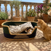 Handwoven elephant grass cat bed with two cats, outdoor patio, potted plants, cushion
