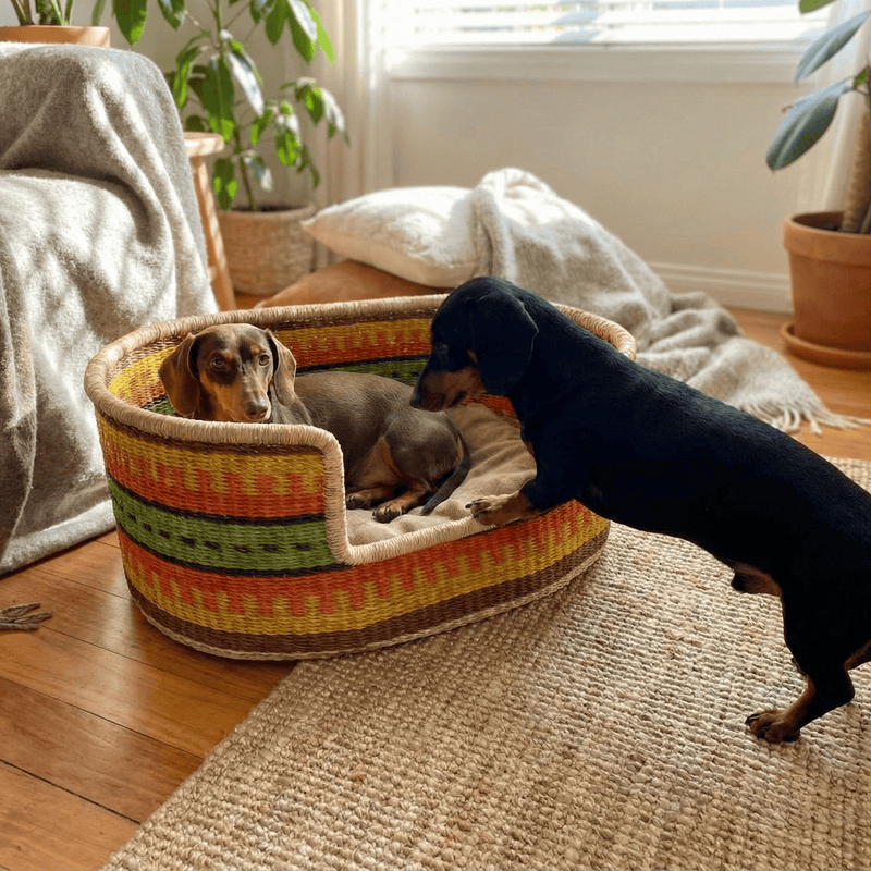 Cesta de mimbre colorida, con tonos amarillos, naranjas y verdes claros.