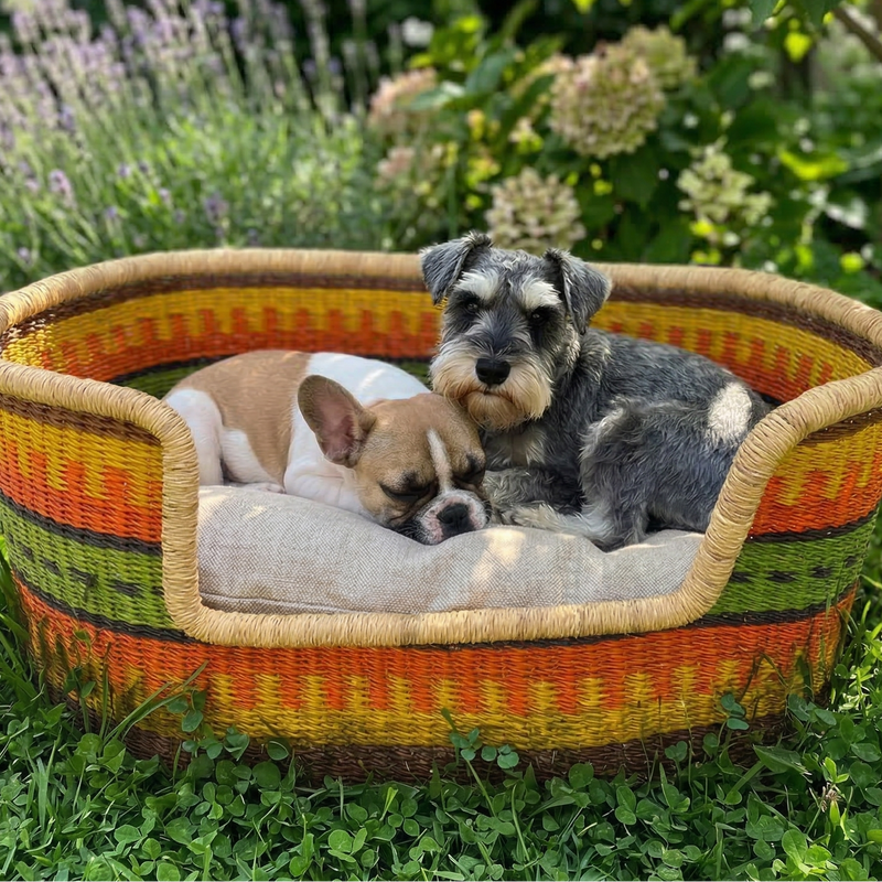 Two dogs resting in a colorful handwoven pet bed on grass, outdoor garden setting
